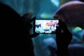 Person holding a mobile taking a picture in an aquarium during a cultural travel.