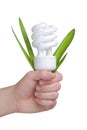 Person holding a modern green light bulb Royalty Free Stock Photo