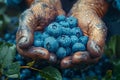 Person holding natural blueberries, a fruit from a terrestrial plant