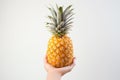 A Person Holding A Pineapple In Their Hand