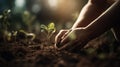 a person holding a plant in the dirt with sunlight shining on it and a person holding it in their hands with soil in the Royalty Free Stock Photo