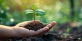 Person holding plant in soil, children planting trees picture Royalty Free Stock Photo