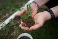 Person holding a plant and soil in hands. Care of our planet. Taking care of environment. Ecology. Royalty Free Stock Photo