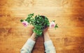 Person holding a potted flower on a rustic table Royalty Free Stock Photo