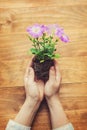 Person holding potted plant on a rustic table Royalty Free Stock Photo