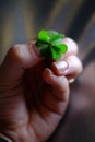 Five leaf clover