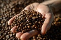 Person holding singleorigin Kapeng barako coffee beans Royalty Free Stock Photo