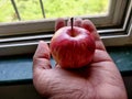 A person holding a small bight red ripen apple in hand