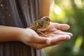Person Holding Small Bird in Hands, A Delicate Moment of Connection