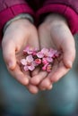 A person holding a small bunch of pink flowers in their hands, AI