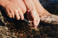 Person holding a small knife and taking the gonad from the sea urchin near a rocky water