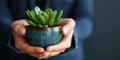 A person is holding a small plant in a blue pot