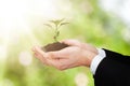 Person Holding Small Plant With Soil Royalty Free Stock Photo
