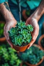 A person is holding a small potted plant in their hands, ready to plant it in the soil Royalty Free Stock Photo