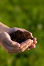 Person holding soil in hands Royalty Free Stock Photo