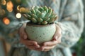 person holding succulent in a pot