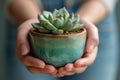 person holding succulent in a pot