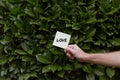 A person holding a white card with a Love print with the background of green Bay laurels