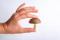 A person holds in his hand in fingers one raw jersey cow mushroom on a white background close-up. Horizontal orientation