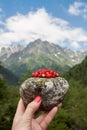 A person holds in his hand a stone on which a strawberry is laid.