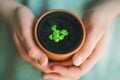 A person holds in his hands a clay pot with a plant sprout. Plant care. New life Royalty Free Stock Photo