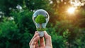 Close up of a hand holding a light bulb with a tree inside against a blurred green background during sunset Royalty Free Stock Photo