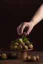 A person holds a lychee in his hand, on a dark background,Litchi chinensis Sonn,lizhi,close up