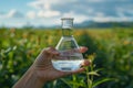 Person holds water beaker in field with plants under cloudy sky Royalty Free Stock Photo