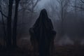 a person in a hooded robe standing in the middle of a foggy forest Royalty Free Stock Photo