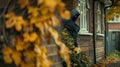 Hooded figure lurking outside a home on an autumn day