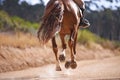 Person, horse and running for horseback riding in texas, countryside and sport training. Farm, rural and nature in Royalty Free Stock Photo