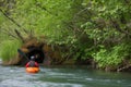 person kayaking in a river with a bear den visible on the bank Royalty Free Stock Photo