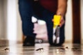 Person killing cockroach with poison spray, cockroach on dirty floor indoors, need for detection