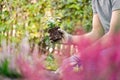 A person kneels in the soil, tending to a potted plant in the grassy landscape Royalty Free Stock Photo