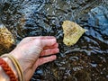 person lifting leaf from surface of rippling pond nature background Royalty Free Stock Photo