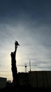 Man arborist cutting tree in sunset Royalty Free Stock Photo