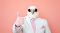 Person with a mask. Man wearing white suit and funny pigeon bird mask. Royalty Free Stock Photo