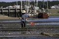 Person oyster fishing in Wellfleet Harbor, Wellfleet, Massachusetts