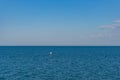 Person on paddle board, standing board in the ocean Royalty Free Stock Photo