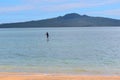 Person paddle boarding in mission bay in Auckland New Zealand Royalty Free Stock Photo