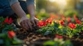 Person Picking Flowers From the Ground