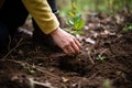 person, planting new tree in forest, to help restore and protect the environment