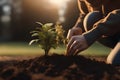 Person planting a plant, photorealistic