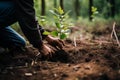 Person planting saplings in rejuvenating forest. Generative AI