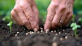 A person planting seeds in the ground with their hands, AI