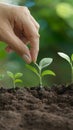 Person plants seeds, nurturing growth of innovative solutions to problems
