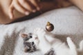 Cute kitten playing with glitter christmas bauble on soft grey bed, top view. Cozy winter holidays