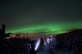 Person pointing flashlight beam towards aurora borealis on winter night sky in spruce tree