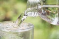 Person pouring water from bottle to glass on nature Royalty Free Stock Photo