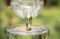 Person pouring water from bottle to glass on nature Royalty Free Stock Photo